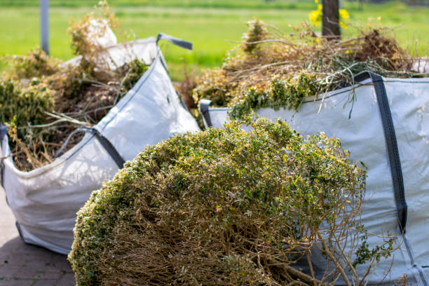Best Commercial Cleanout Services  in Champlin, MN